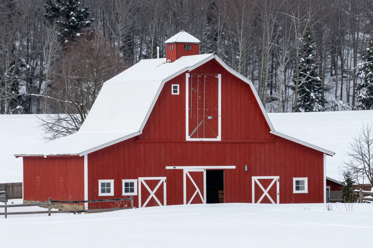A bright red barn with white trim stands in a snow-covered field backed by a winter forest.