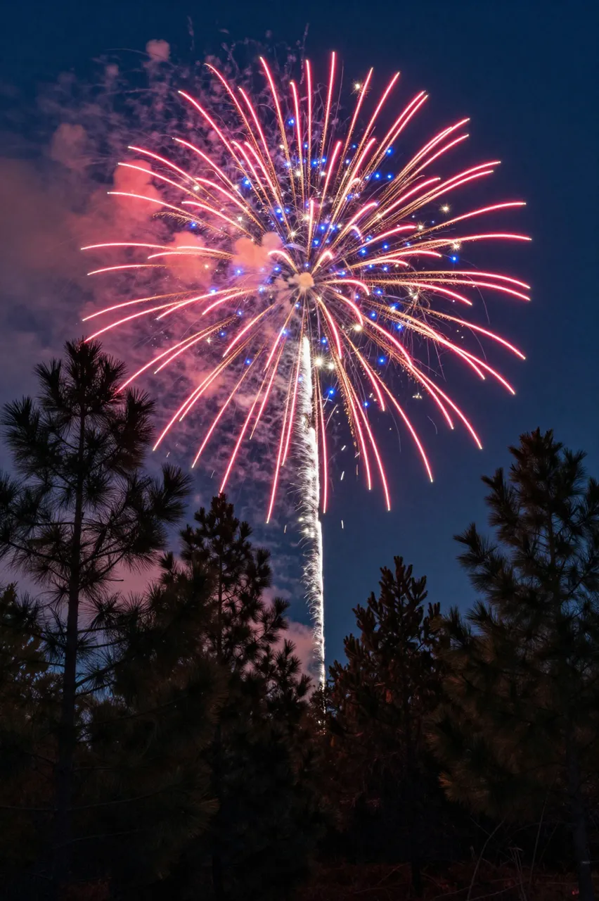 Bright red and blue firework burst illuminates the dark night sky above silhouetted pine trees