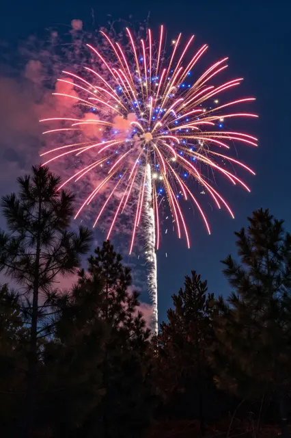 Bright red and blue firework burst illuminates the dark night sky above silhouetted pine trees