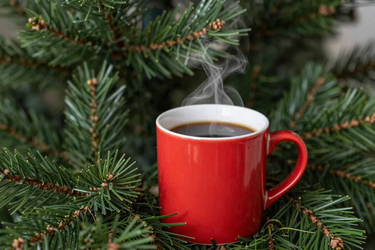A steaming red mug of coffee rests nestled among evergreen Christmas tree branches.