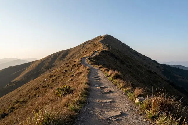A dirt hiking trail winds up a grassy mountain ridge under a clear pale sky at early sunrise