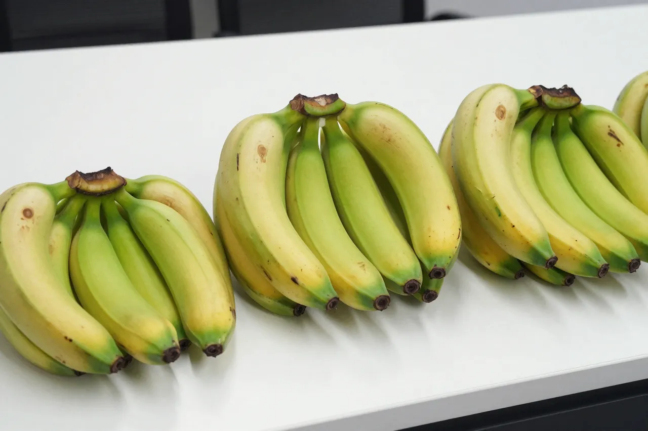 Clusters of bananas at different ripeness stages rest lined up on a smooth white countertop
