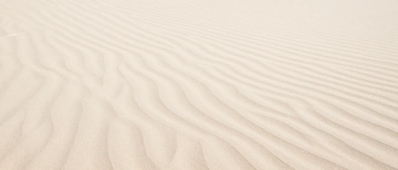 Soft wind-formed ripples stretch across a wide expanse of pale sand in gentle side lighting