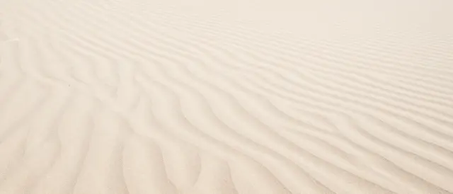 Soft wind-formed ripples stretch across a wide expanse of pale sand in gentle side lighting