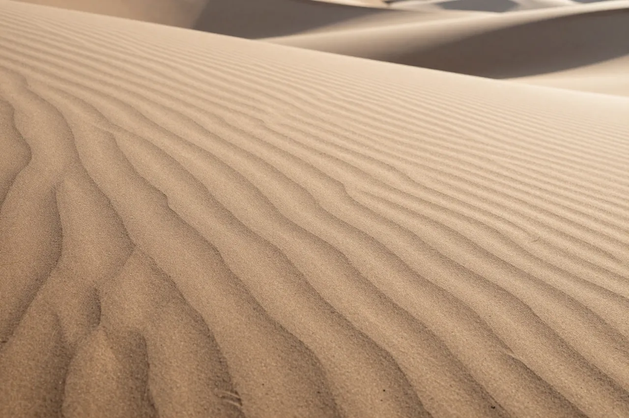 Wind-formed ripples stretch across sunlit sand dunes in soft warm morning light