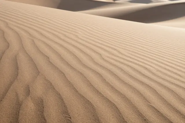 Wind-formed ripples stretch across sunlit sand dunes in soft warm morning light