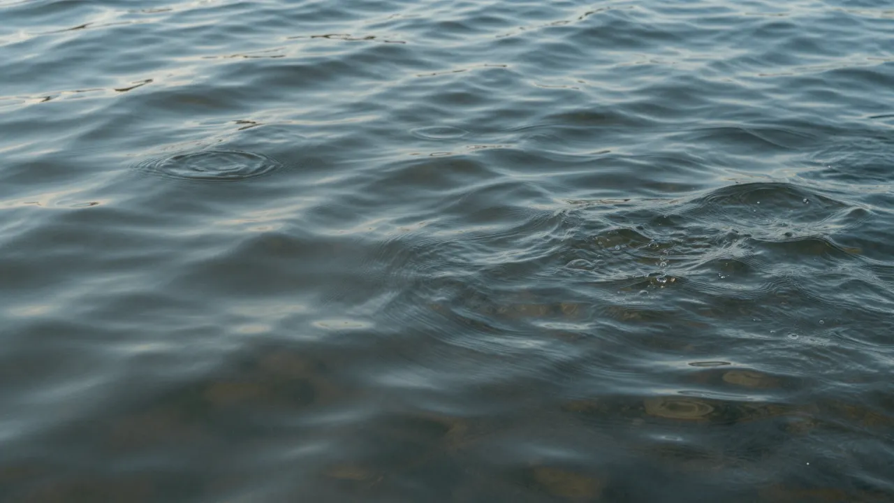 Calm shallow water surface with soft ripples, small splashes, and faint underwater caustic patterns
