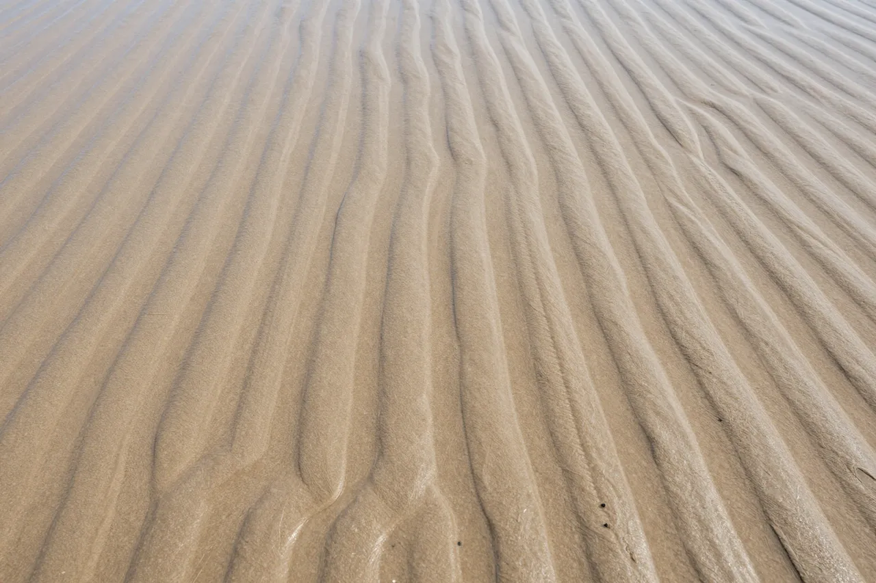 Full frame top view of parallel low-tide ripples on smooth wet beach sand