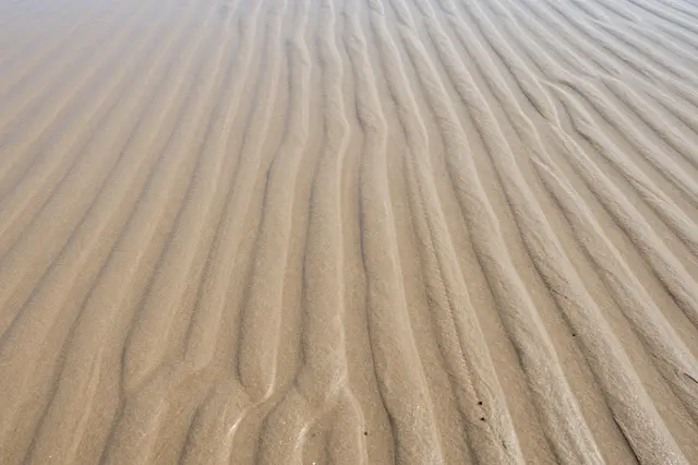 Full frame top view of parallel low-tide ripples on smooth wet beach sand