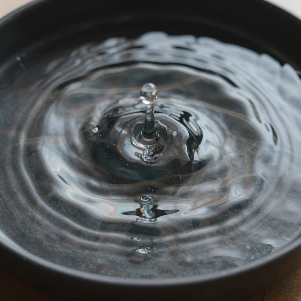 A close-up macro view of a water droplet rising above concentric ripples in a black dish