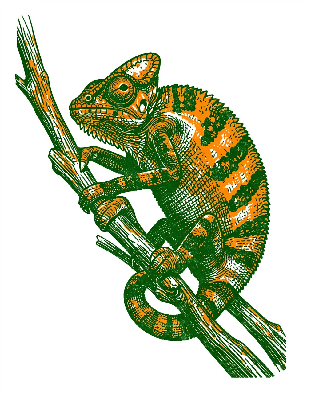 A risograph print chameleon grips a twig, rendered in green and orange inks on a white background.