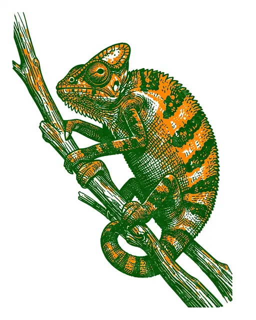A risograph print chameleon grips a twig, rendered in green and orange inks on a white background.