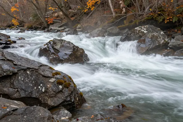 Long exposure view of a fast flowing rocky river under autumn forest trees