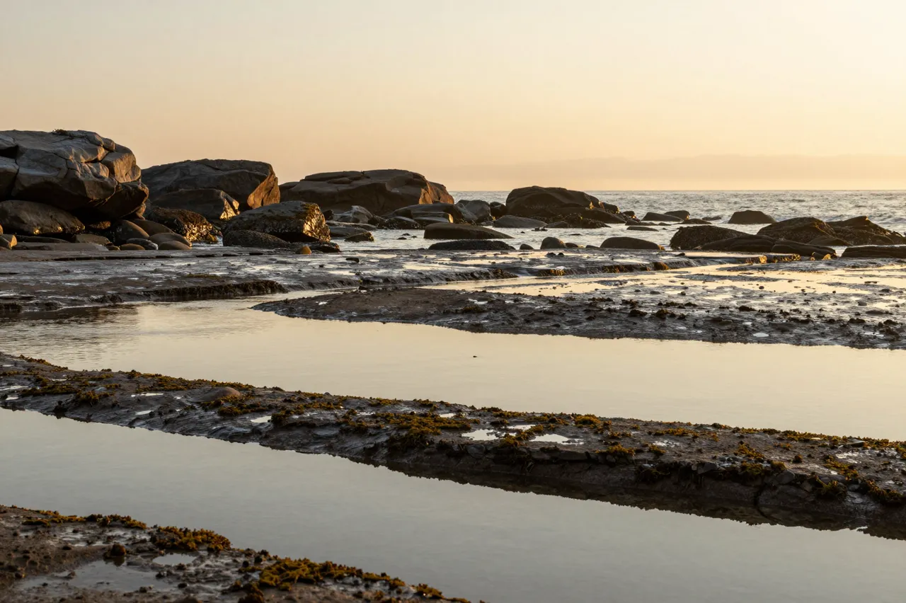 Wet stone ledges and calm tide pools reflect pale golden dawn sky at a rocky coastal cove