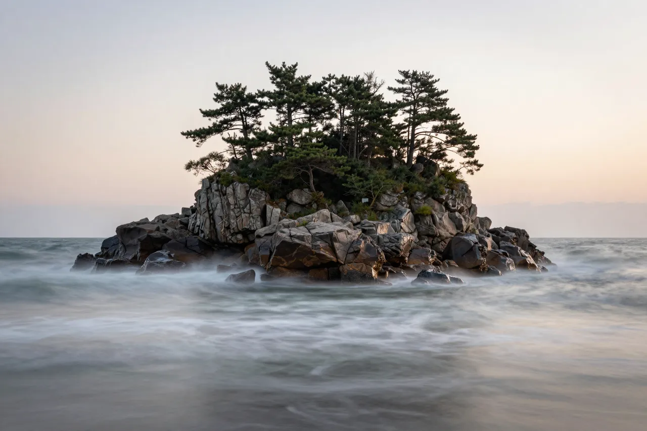 Long exposure view of a rocky pine-topped islet surrounded by misty softened ocean waves at dusk