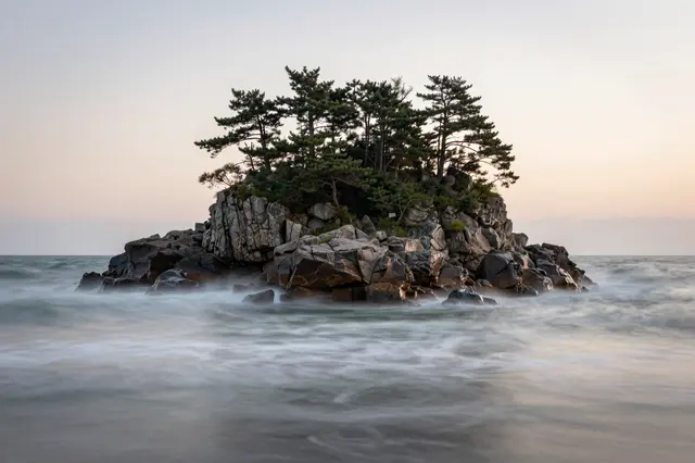 Long exposure view of a rocky pine-topped islet surrounded by misty softened ocean waves at dusk