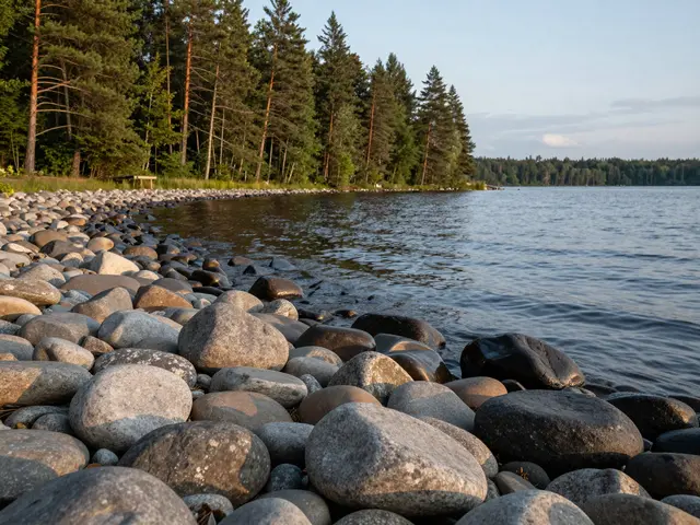 Smooth rounded stones line a calm lake shore next to a dense pine forest at late dusk