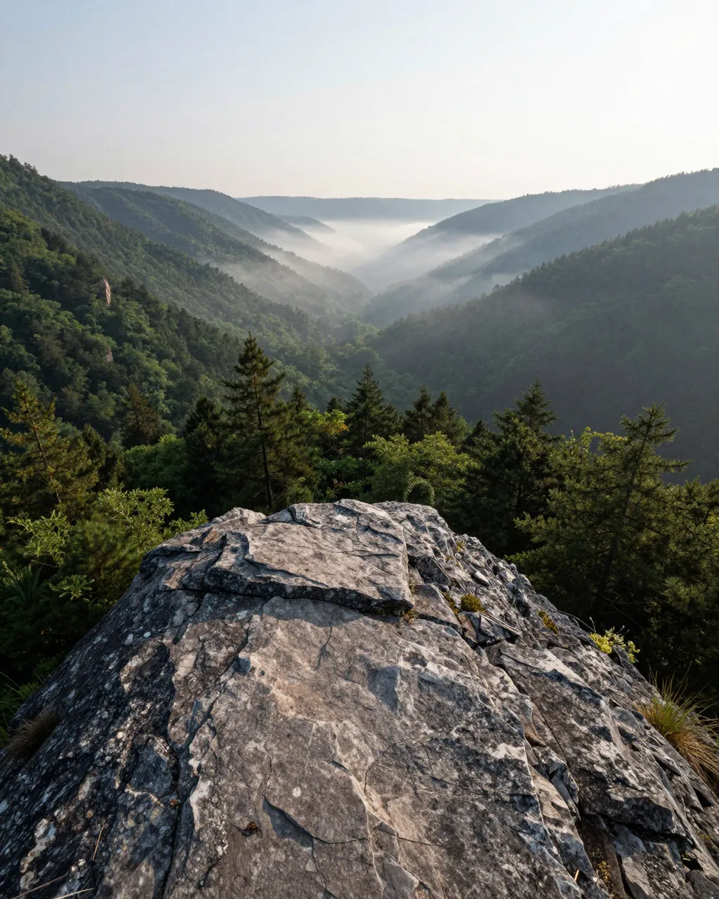 A rugged rocky overlook looks out over a misty forested mountain valley at soft dawn