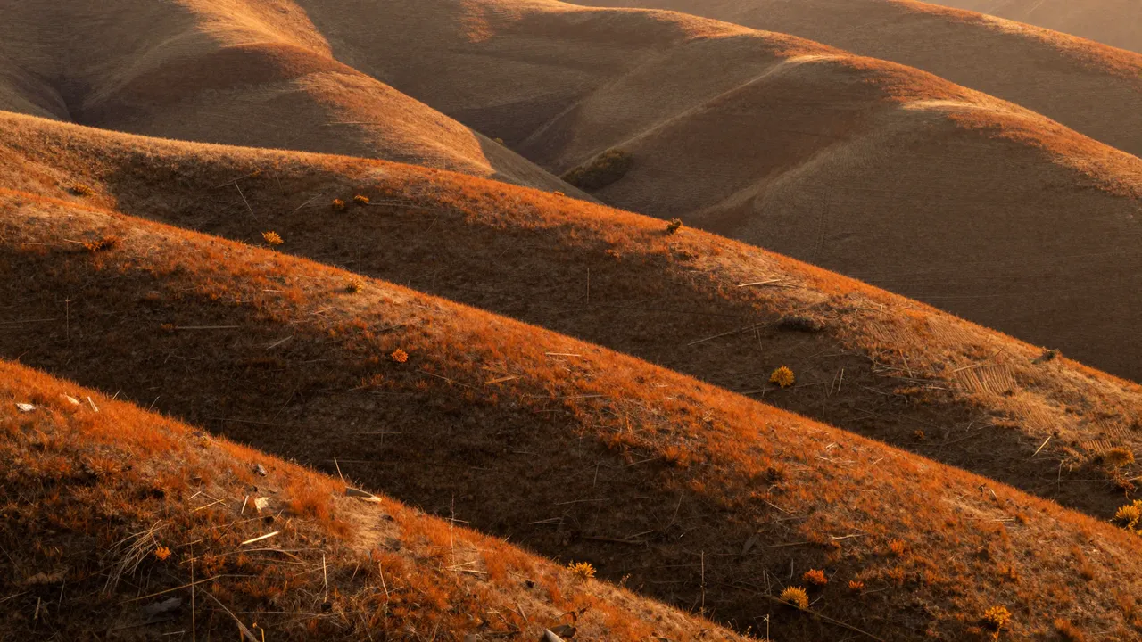 Layered rolling grassy autumn hills glow in warm orange light at golden hour