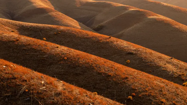 Layered rolling grassy autumn hills glow in warm orange light at golden hour