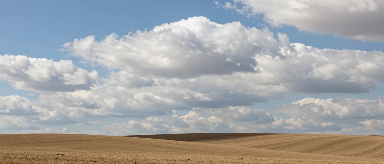 Golden rolling farm fields stretch beneath a bright blue sky filled with large fluffy cumulus clouds