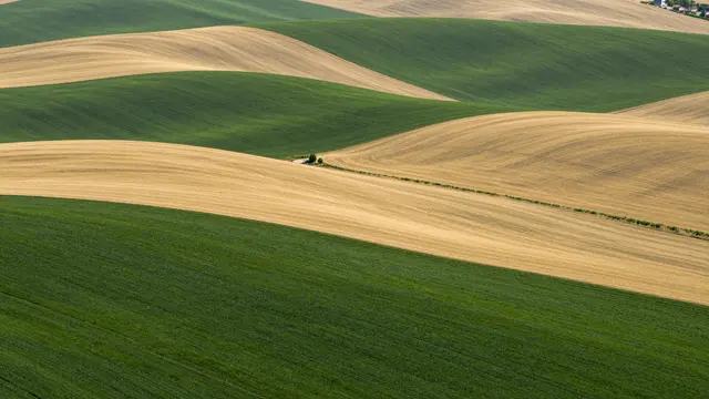 Aerial view of patchwork green and golden crop fields stretching across rolling smooth hills