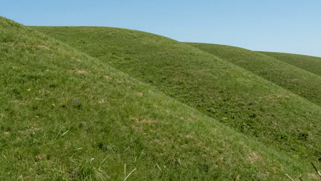 Grassy rolling green hills stretch out beneath a clear bright blue sky on a sunny day