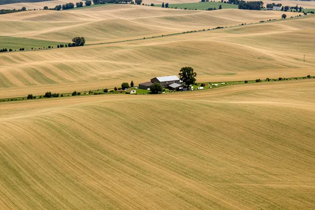 Aerial view of a lone farmhouse complex surrounded by rolling golden early summer wheat hills