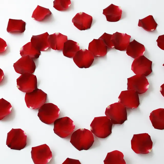 Top view of red rose petals arranged into a heart shape on a plain white surface