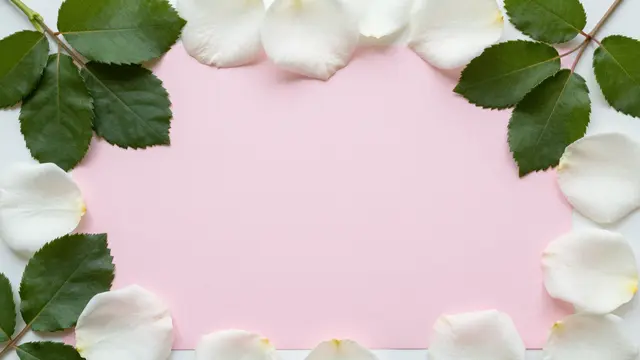 Top-down view of white rose petals and green leaves framing an empty pale pink paper backdrop
