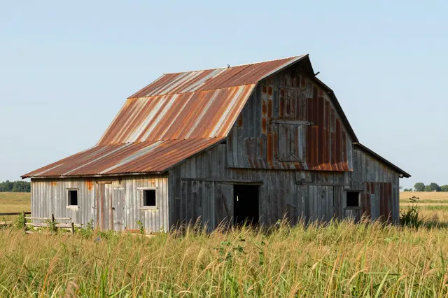 Weathered wooden barn with rusted tin roof standing in a field of tall sunlit grass under a pale clear sky