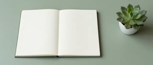 Top view of a sage green desk holding an open blank notebook and a small potted succulent with empty surrounding space.