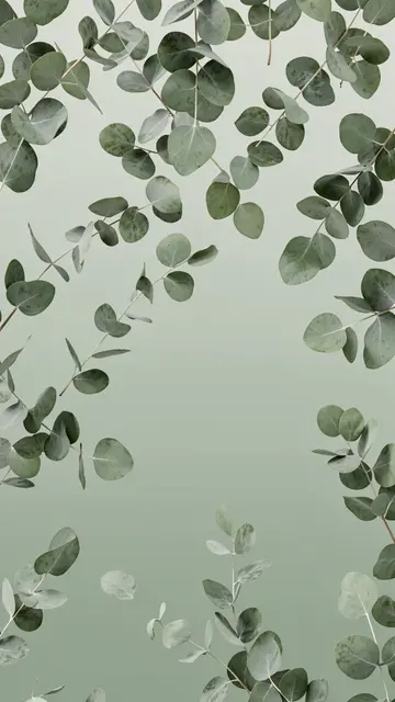 Drifting eucalyptus leaves arranged around a soft vertical sage green gradient background