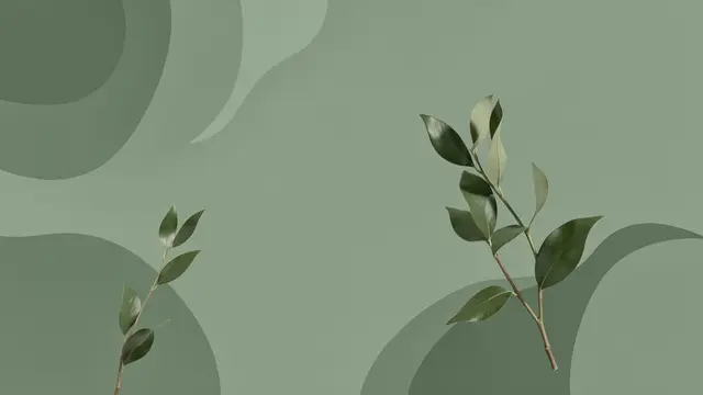 Two leafy branches rest over soft organic sage green abstract shapes with empty copy space.