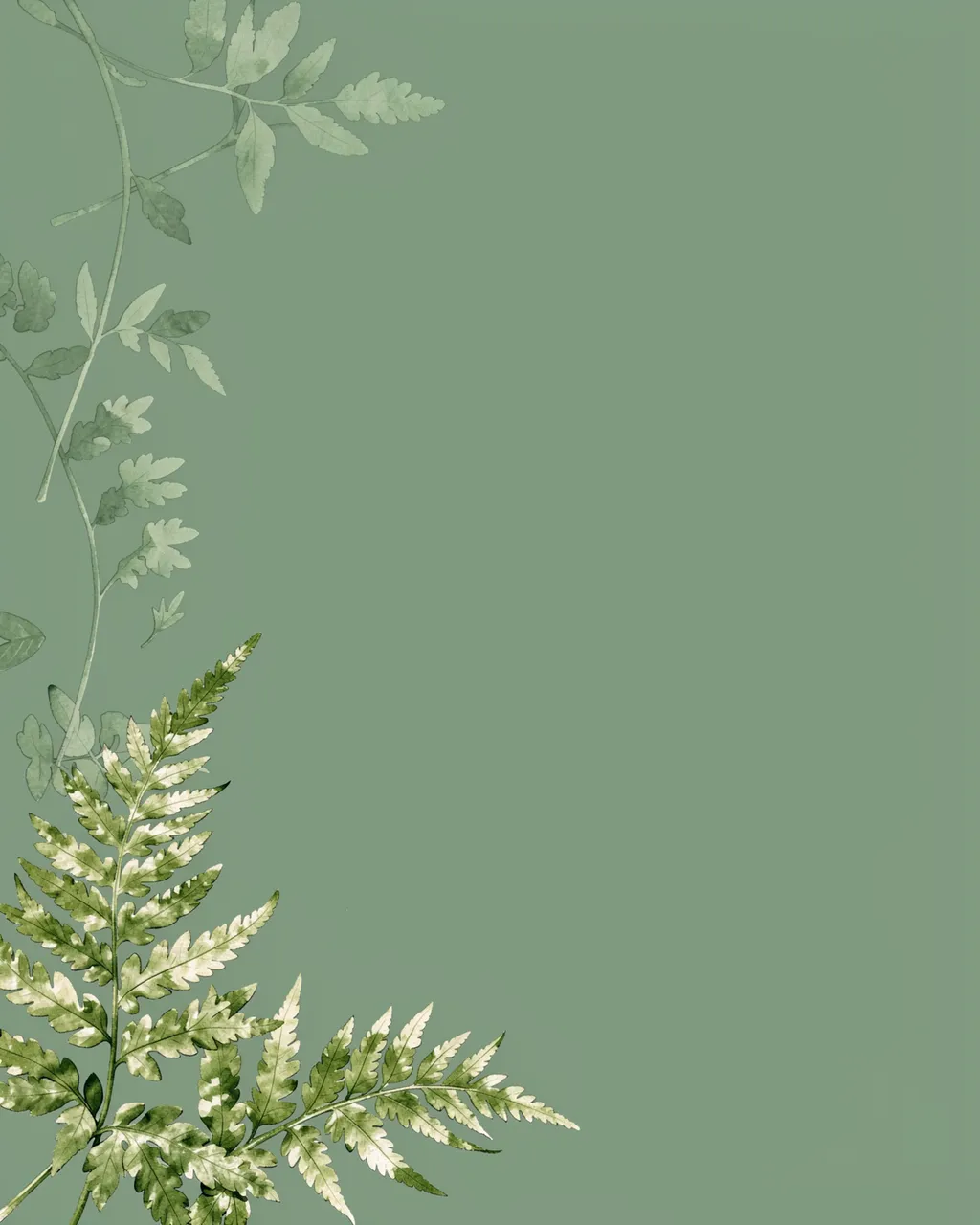 Soft sage green background with watercolor pressed fern accents along the left edge and empty copy space