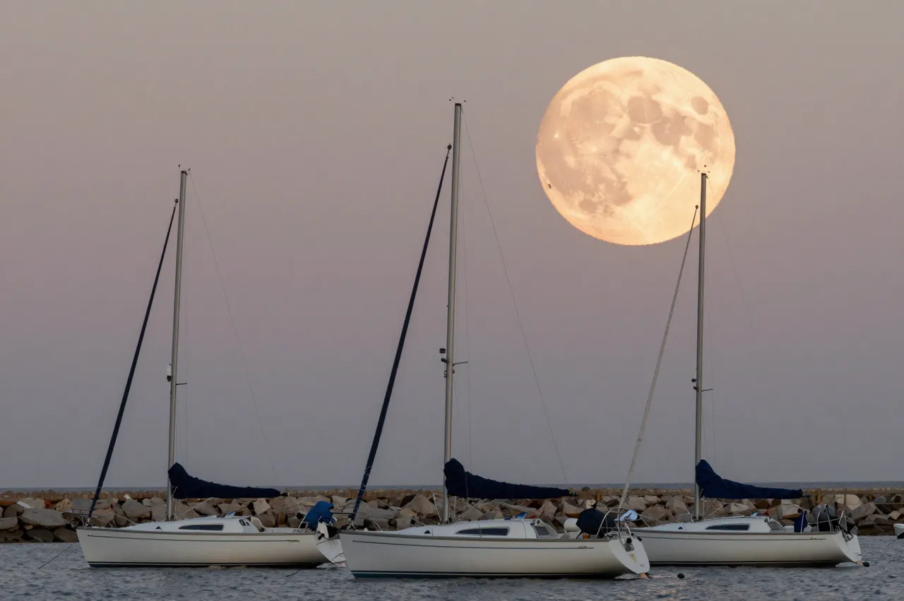 Three moored sailboats sit in a harbor beneath a large pale orange full moon at twilight