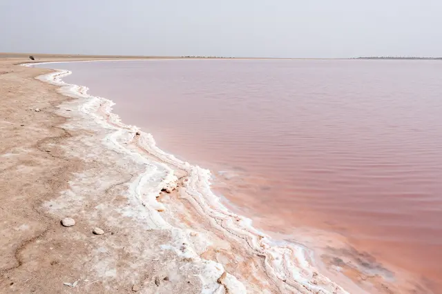 Salt-crusted shoreline meets calm shallow pink water under a pale hazy desert sky