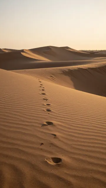 Footprints trail across rippled sand dunes under a soft pale sunset sky in a desert
