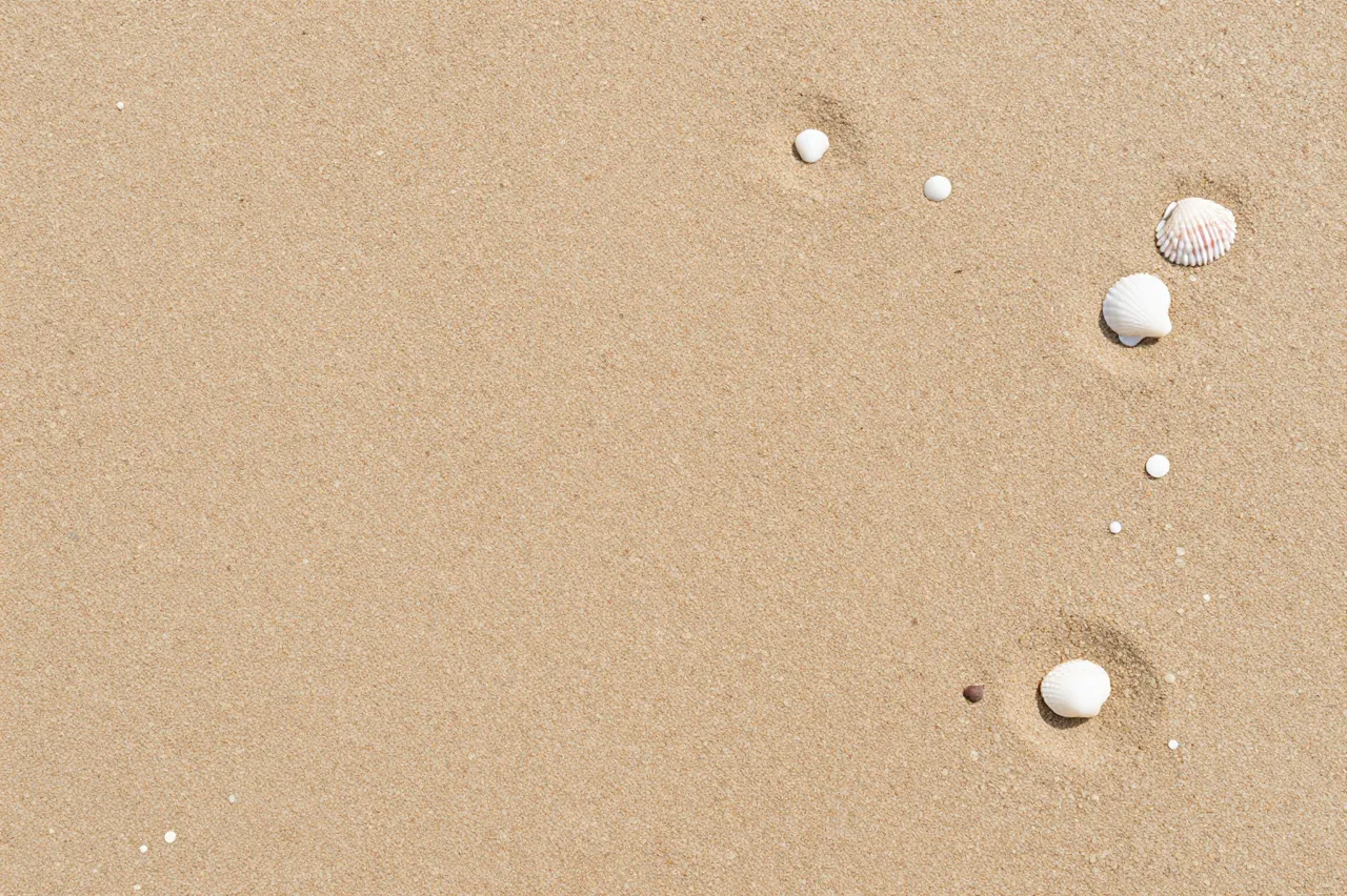 Top-down view of fine light tan beach sand dotted with small white seashells and tiny pebbles