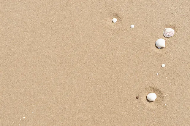 Top-down view of fine light tan beach sand dotted with small white seashells and tiny pebbles