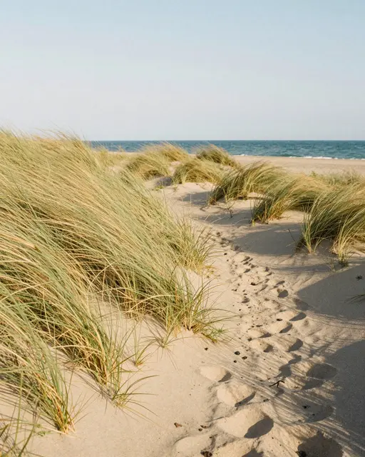 Footprints trail through wind-blown dune grass along a sandy beach path toward the calm sea under warm light