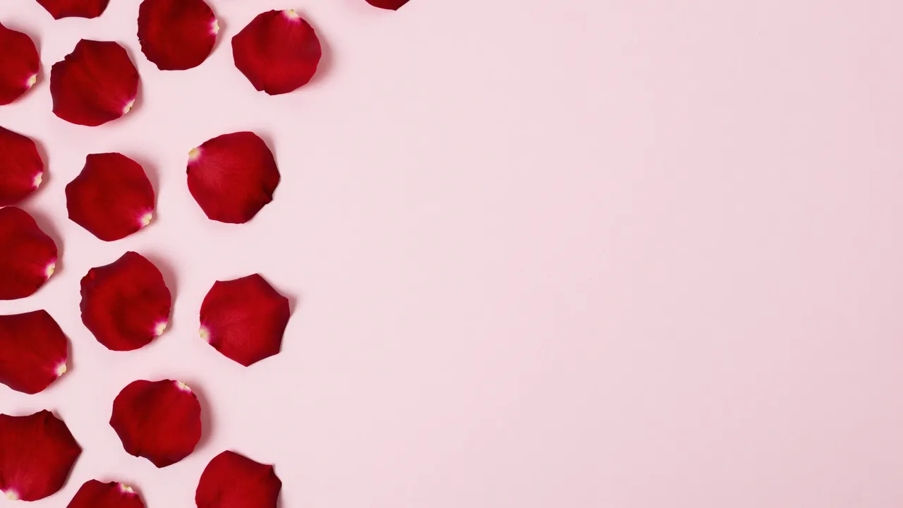 Deep red rose petals rest along the left edge of a smooth pale pink surface with empty copy space to the right