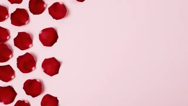 Deep red rose petals rest along the left edge of a smooth pale pink surface with empty copy space to the right