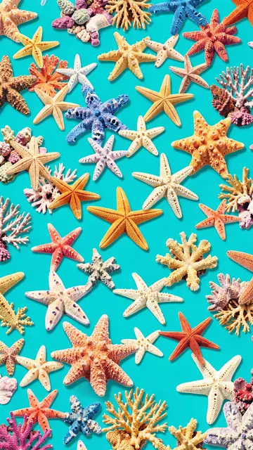 Colorful assorted starfish and coral pieces scattered across a bright solid aqua background