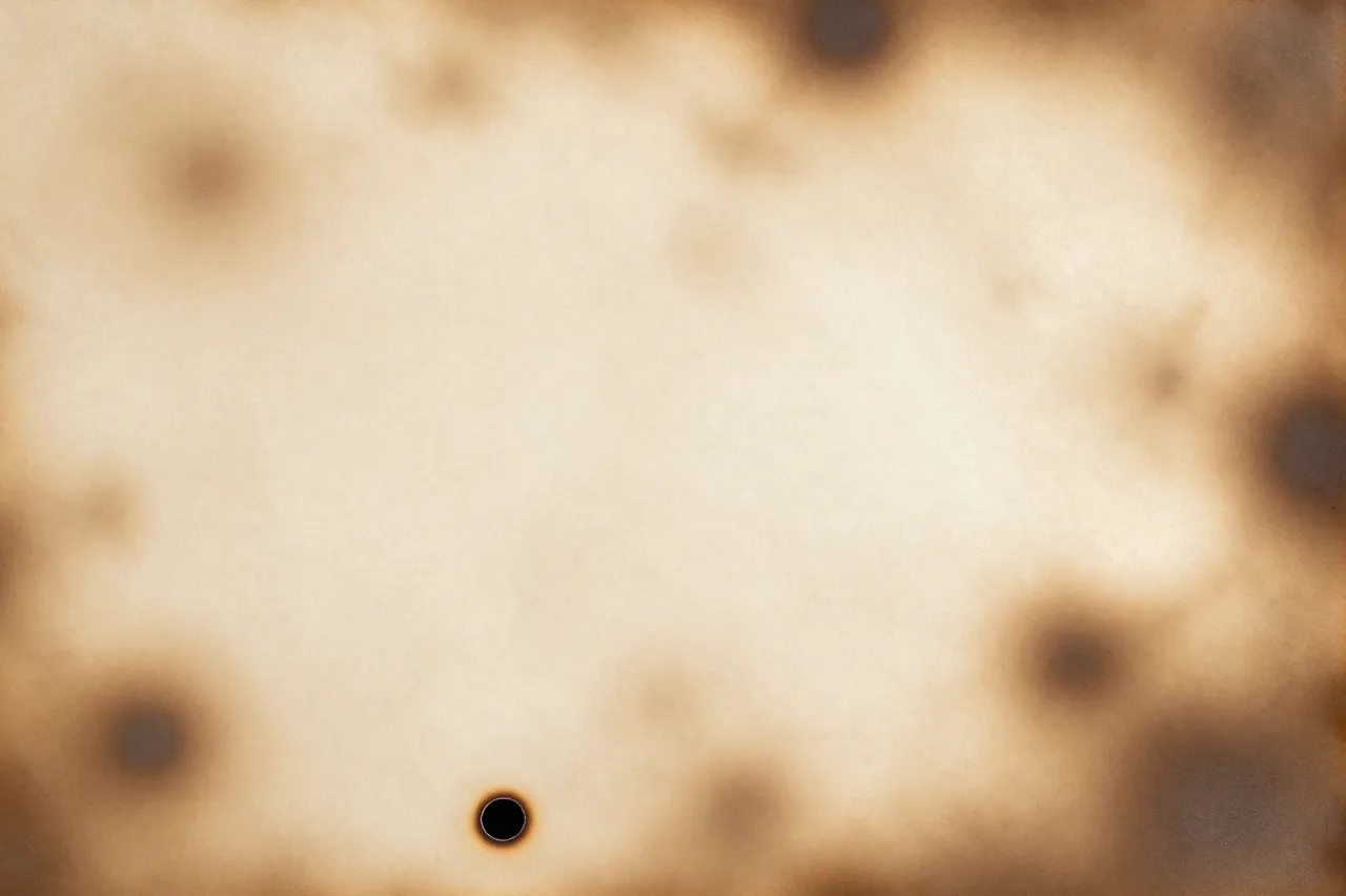 Full frame flat scorched paper surface with brown heat stains and small black burn holes under even lighting