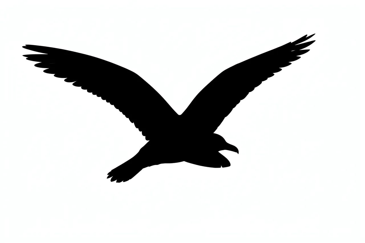 Solid black seagull silhouette gliding on a plain bright white background