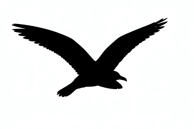 Solid black seagull silhouette gliding on a plain bright white background