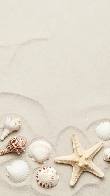 A pale sand backdrop with assorted seashells and a starfish arranged along the bottom edge, with empty copy space above.