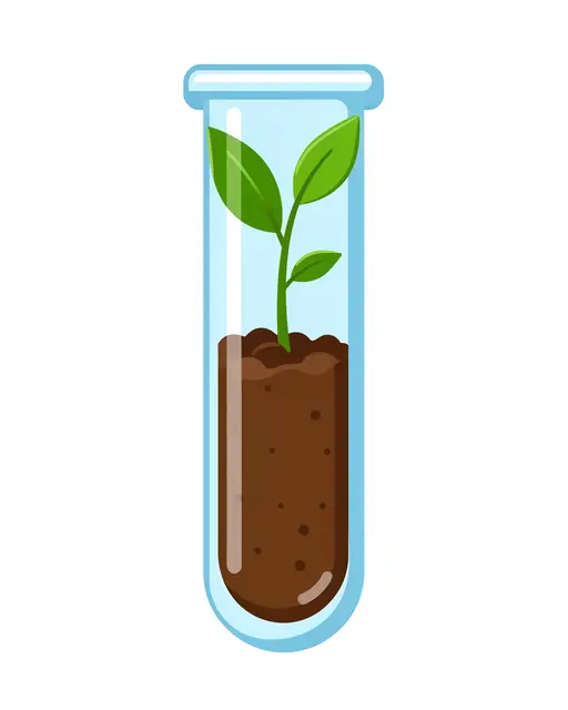 Flat vector illustration of a small green seedling growing in soil inside a glass test tube against a plain white background