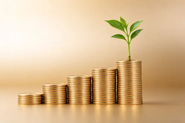 A small green seedling sits atop the tallest stack of rising step-shaped gold coin piles.